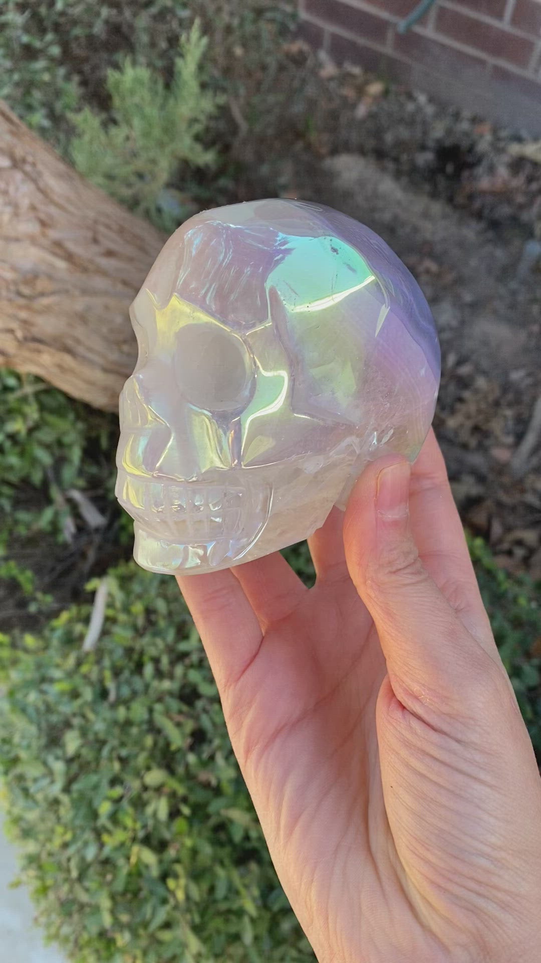 Aura Agate Skull