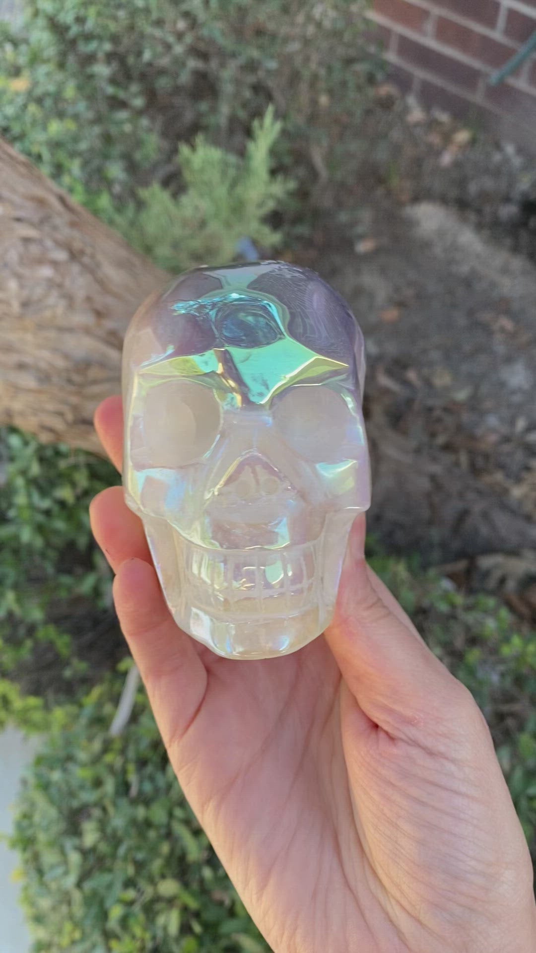 Aura Agate Skull