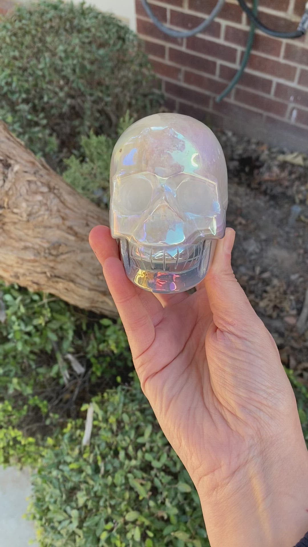 Aura Agate Skull