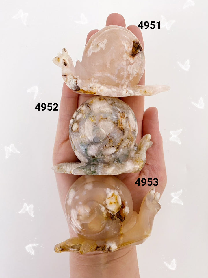 Flower Agate Snails