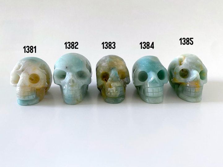 Caribbean Calcite Skulls - Uncommon Rocks