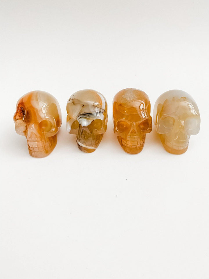 Agate Skulls - Uncommon Rocks