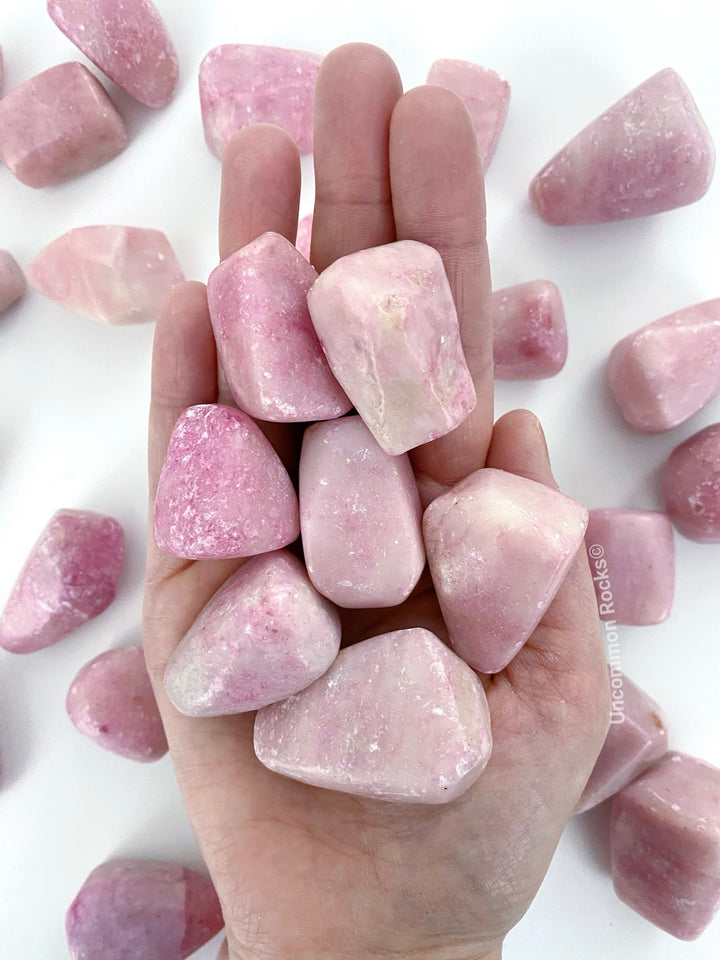Pink Opal Palms