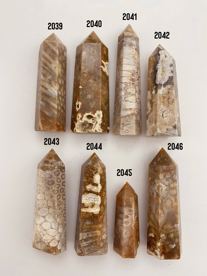 Coral Fossil Towers - Uncommon Rocks