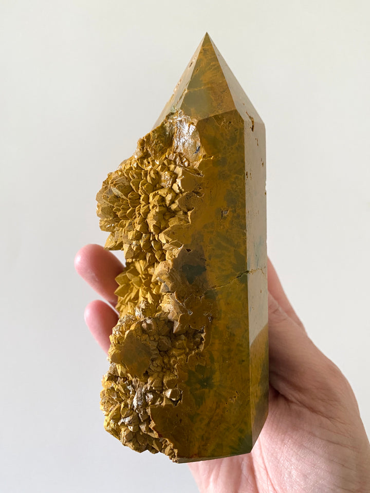Ocean Jasper Tower