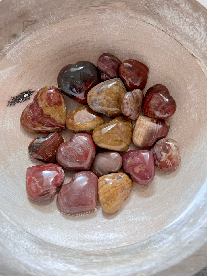 Petrified Wood Hearts