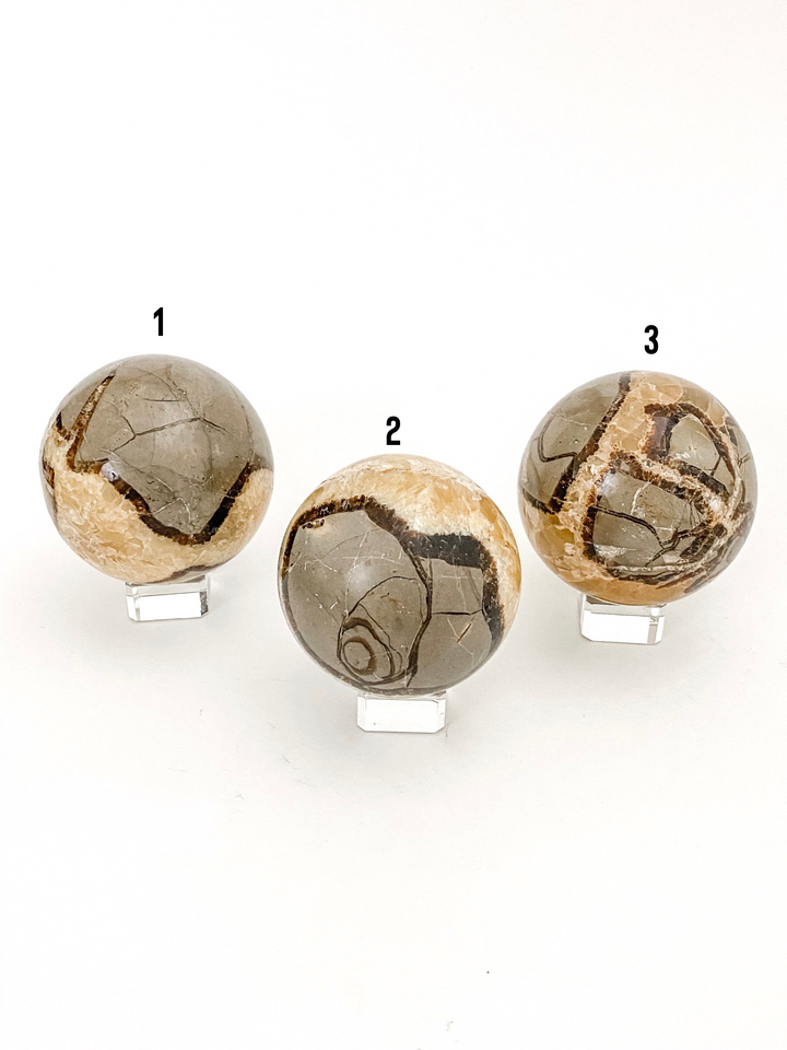 Septarian Spheres