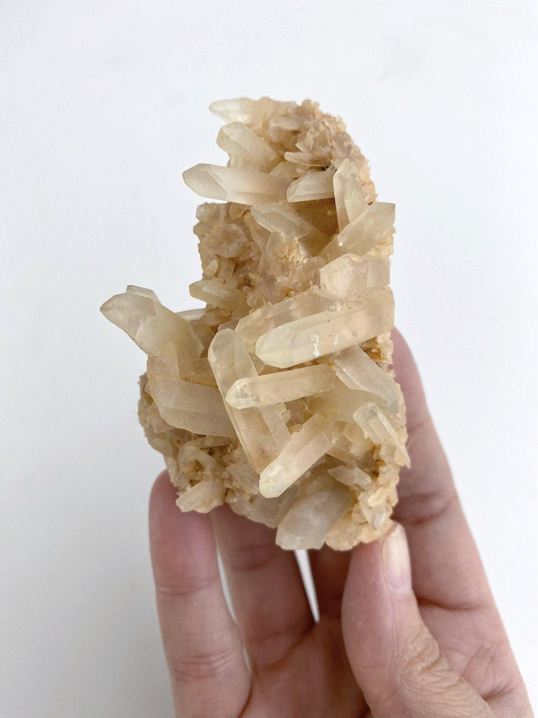 Clear Quartz Cluster - Uncommon Rocks