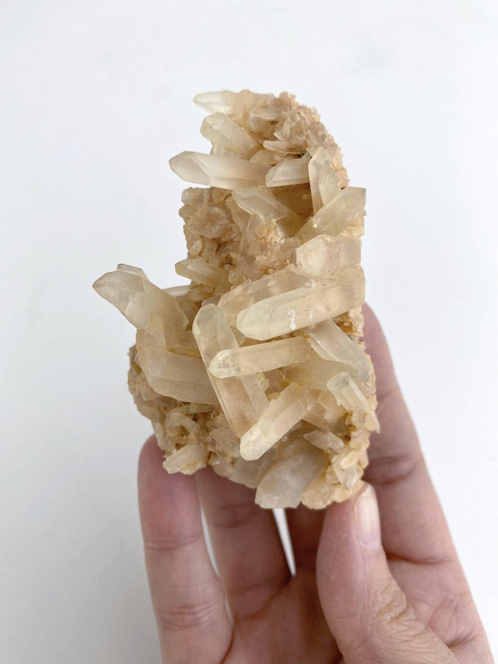Clear Quartz Cluster - Uncommon Rocks