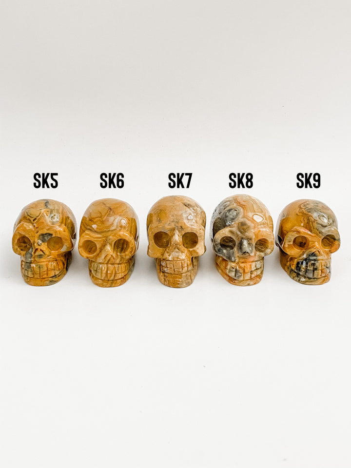 Crazy Lace Agate Skulls