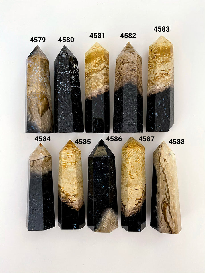 Indonesian Fossilized Palm Root Towers