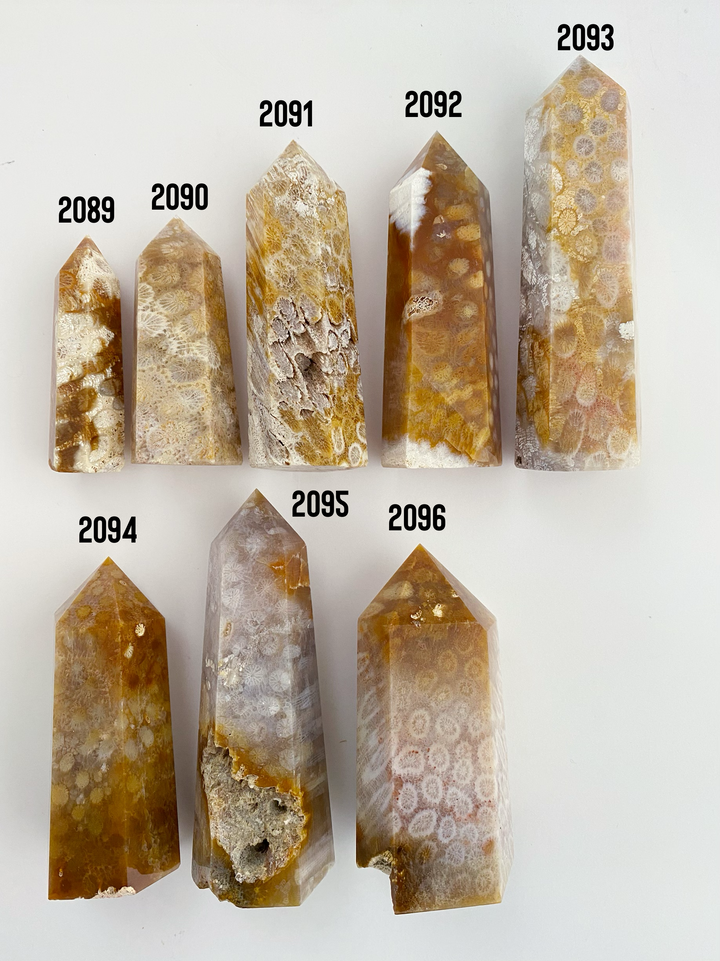 Coral Fossil Towers - Uncommon Rocks