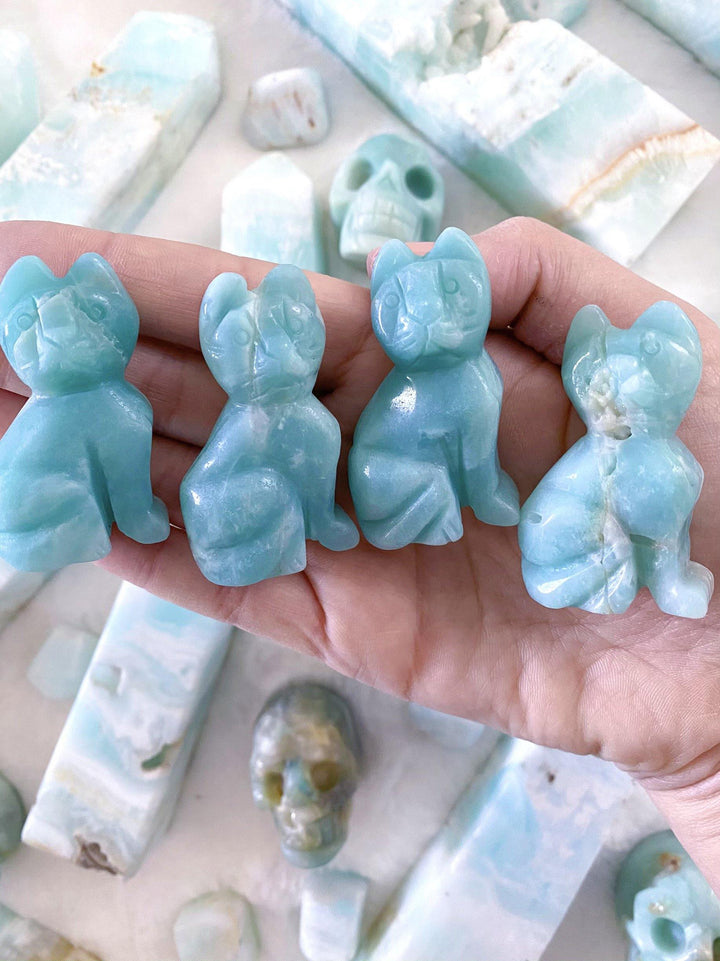 Caribbean Calcite Cats - Uncommon Rocks