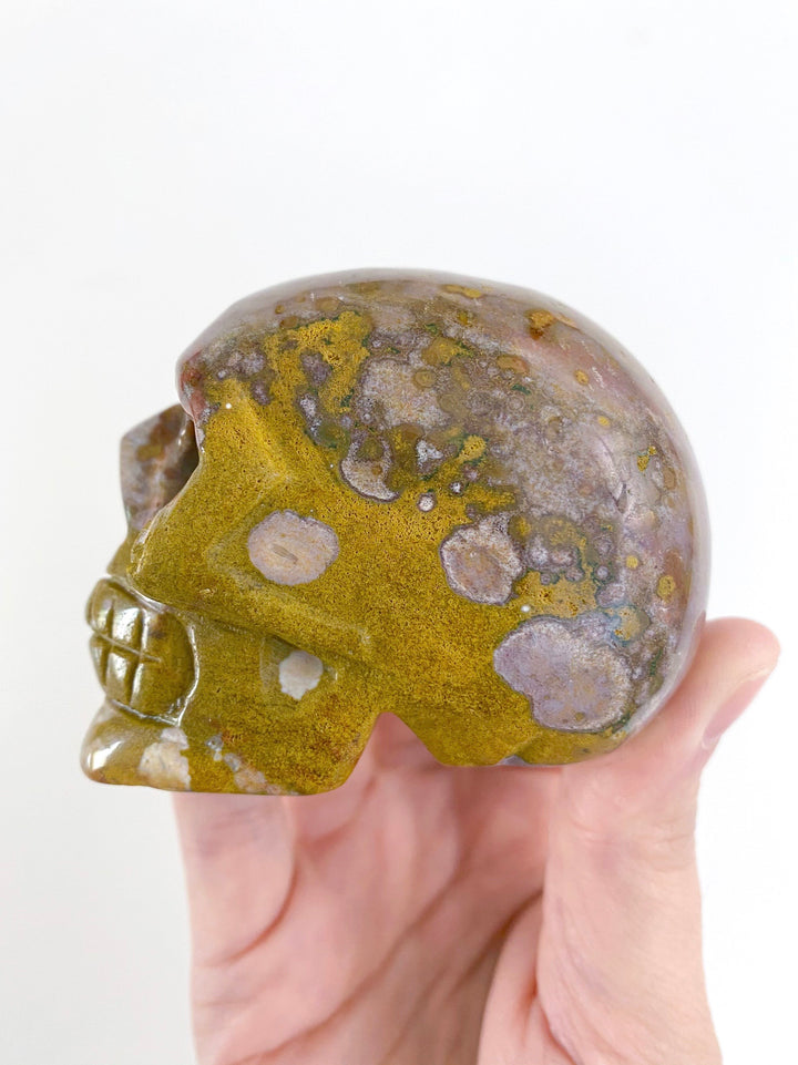 Ocean Jasper Skull