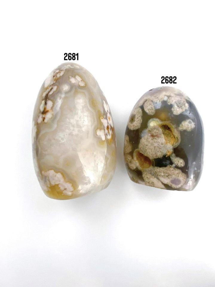 Flower Agate Free Form - Uncommon Rocks