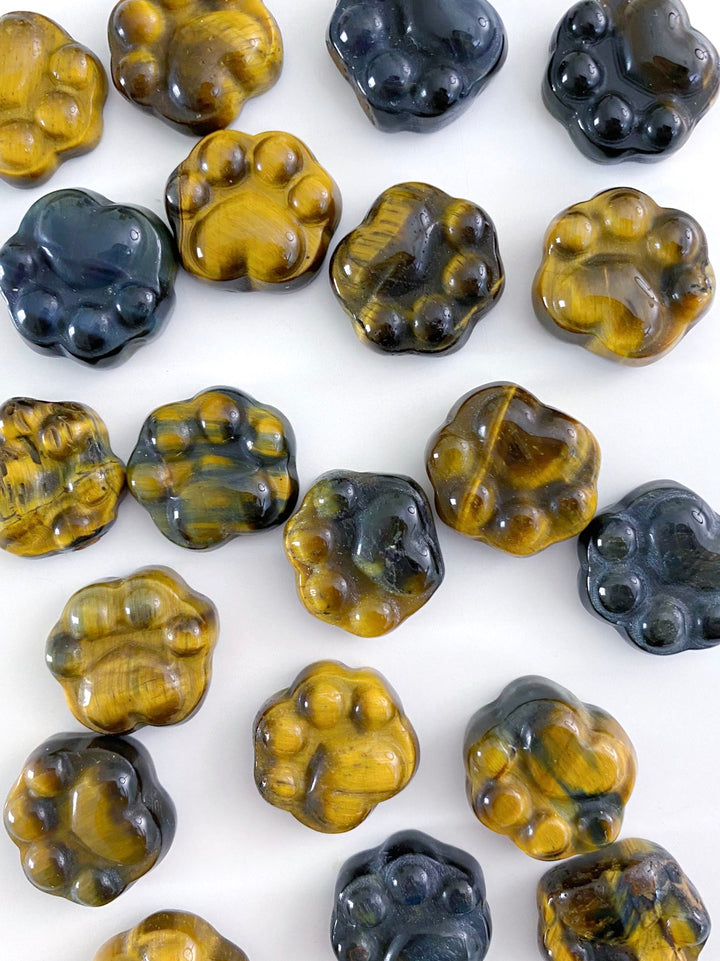 Tiger Eye Paws