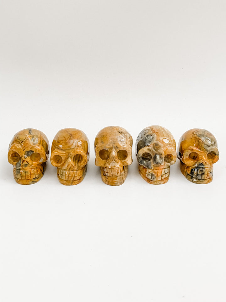 Crazy Lace Agate Skulls
