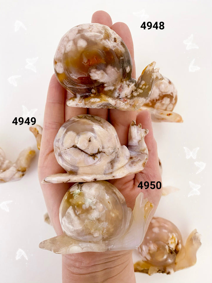 Flower Agate Snails