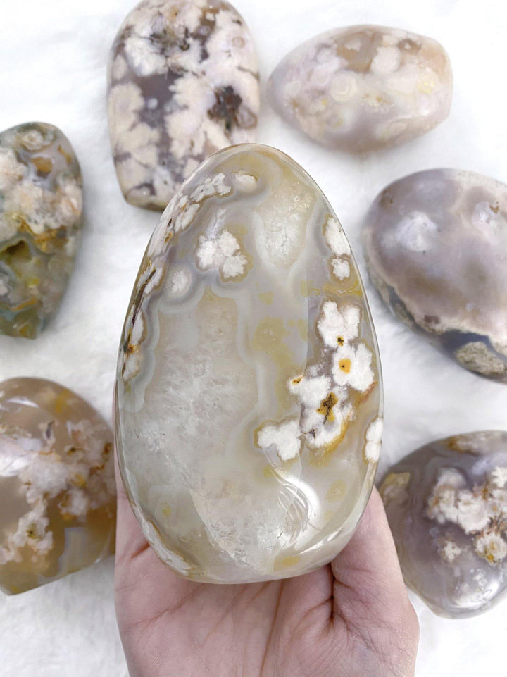 Flower Agate Free Form - Uncommon Rocks