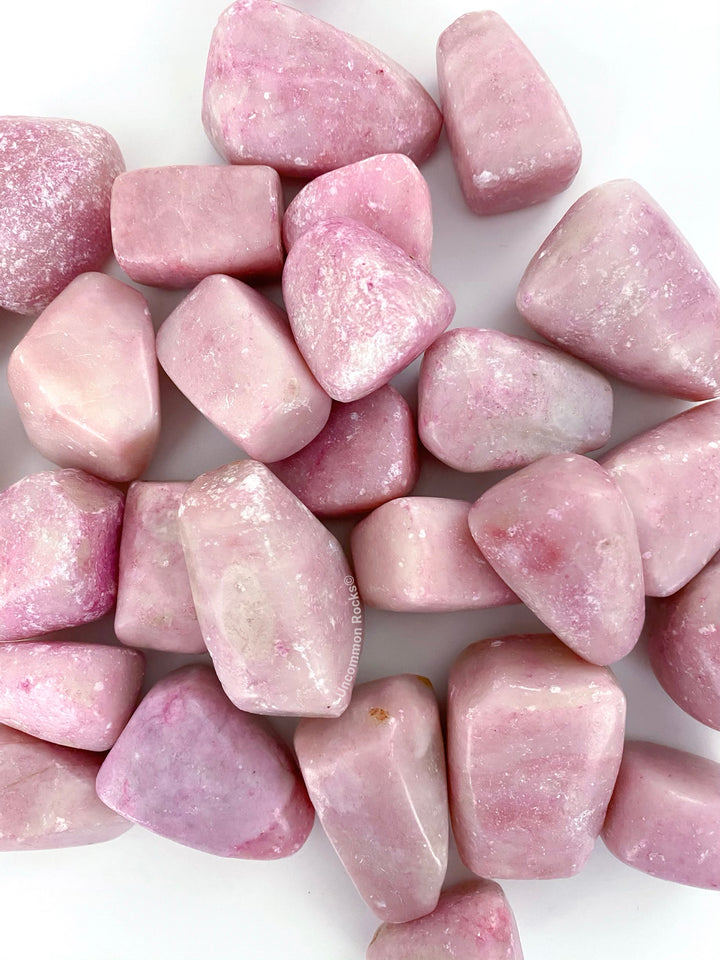 Pink Opal Palms