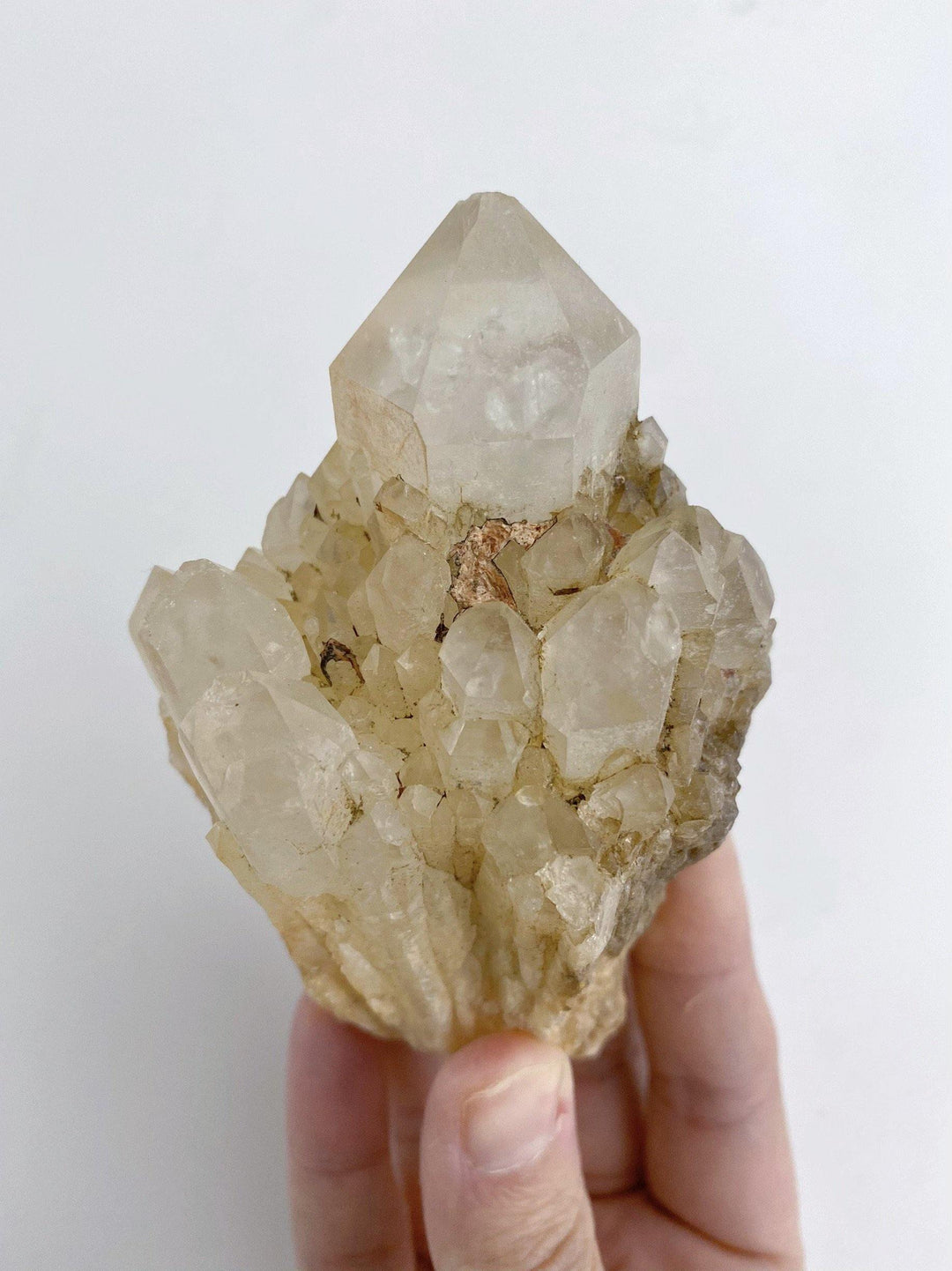 Clear Quartz Cluster - Uncommon Rocks