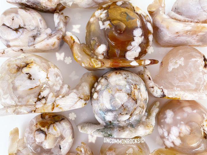 Flower Agate Snails