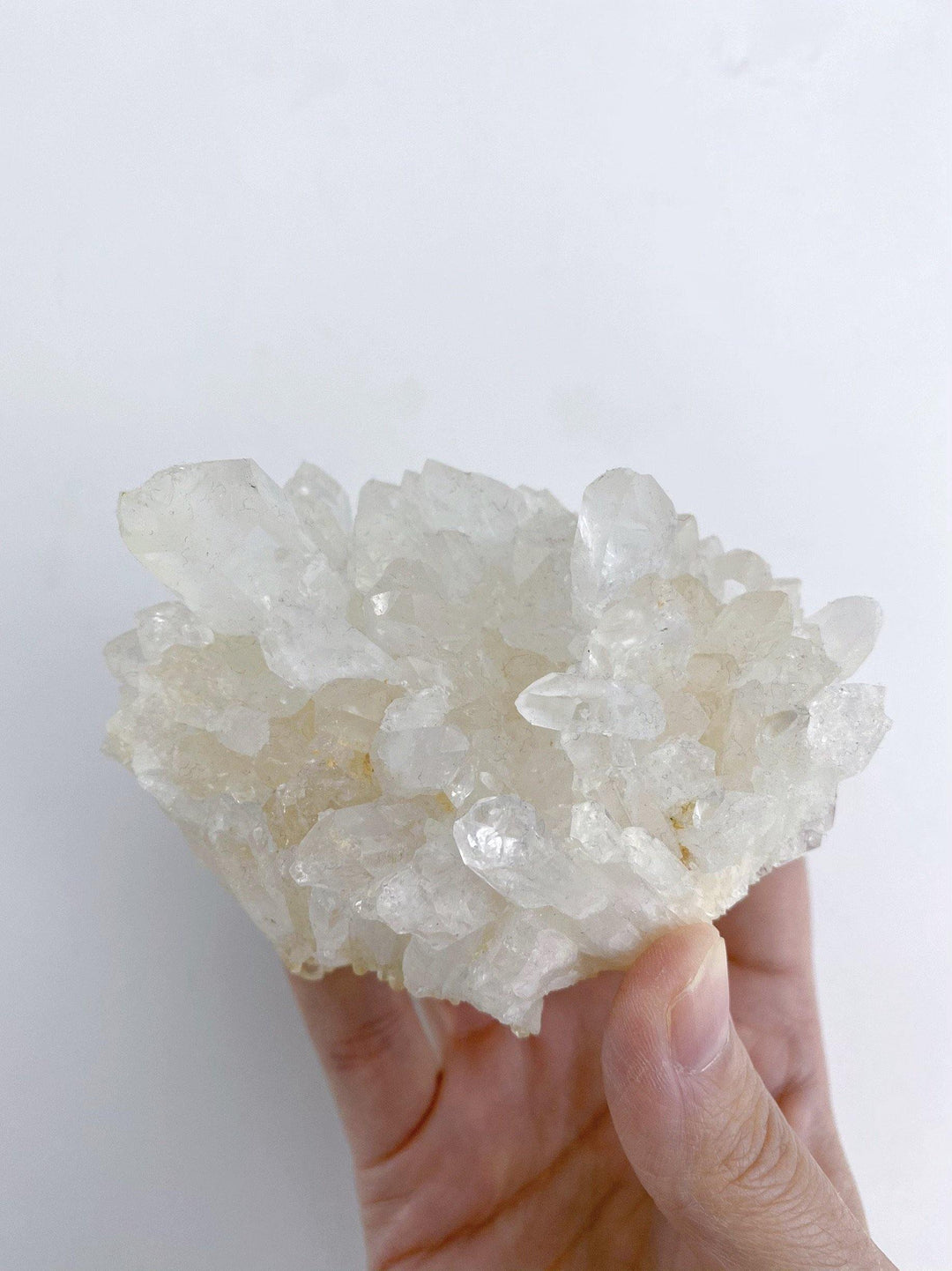 Clear Quartz Cluster - Uncommon Rocks