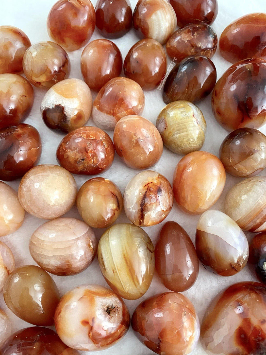Carnelian Eggs - Uncommon Rocks