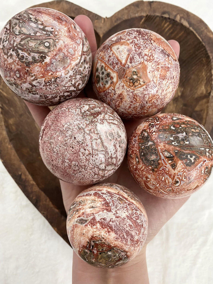 Leopard Jasper Skin Spheres - Uncommon Rocks