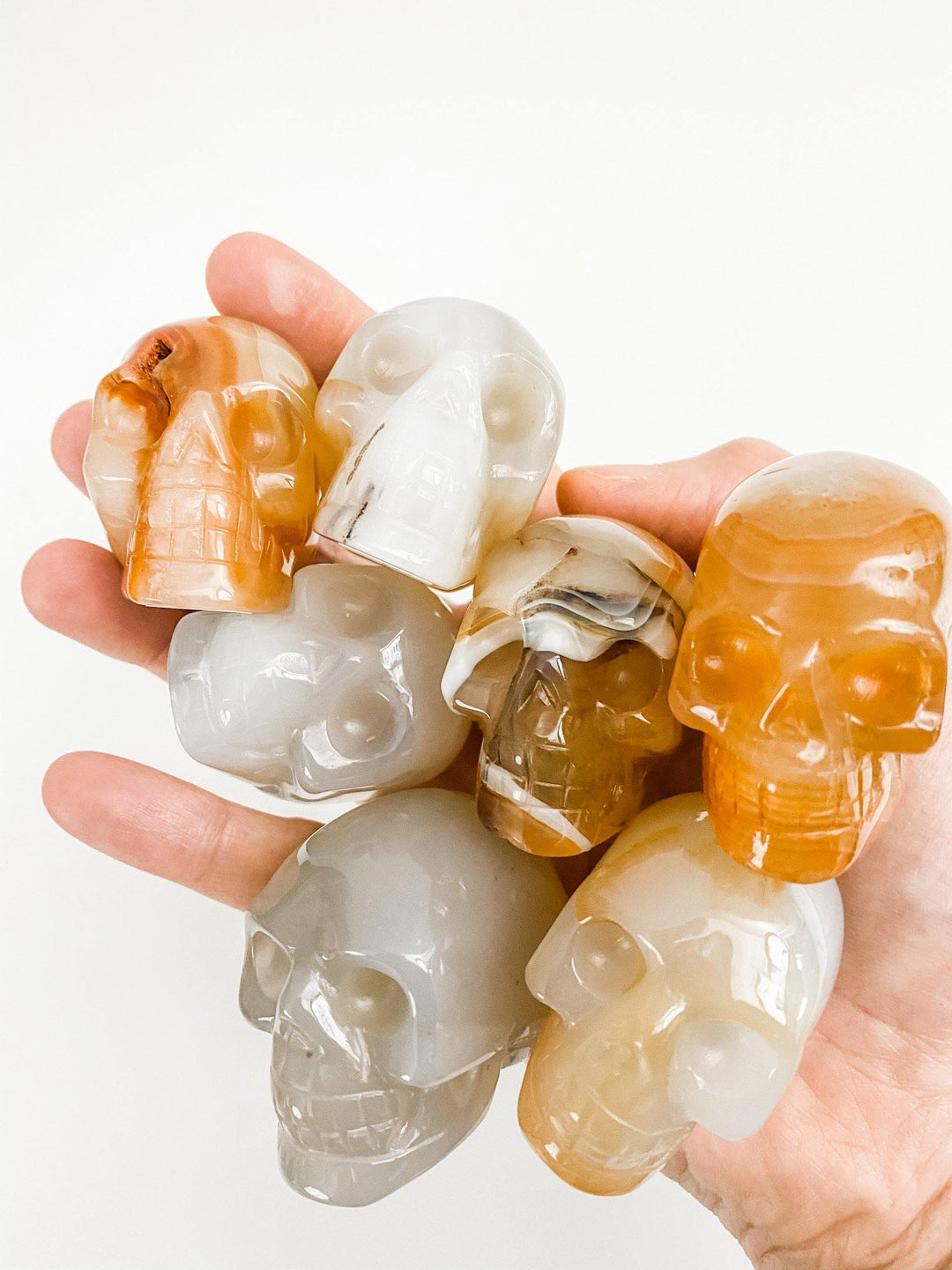 Agate Skulls - Uncommon Rocks