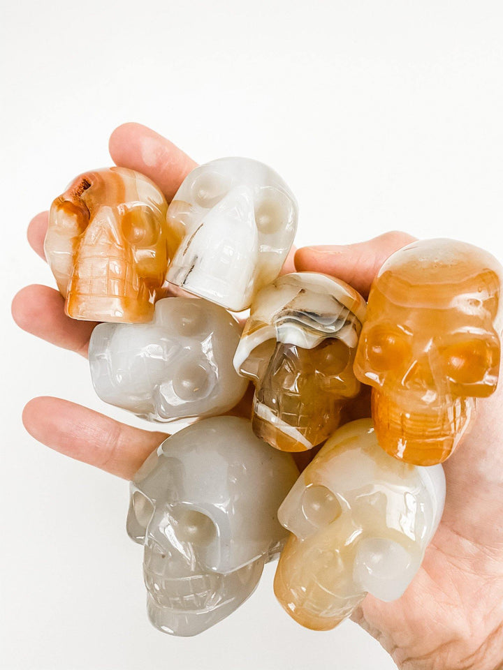 Agate Skulls - Uncommon Rocks