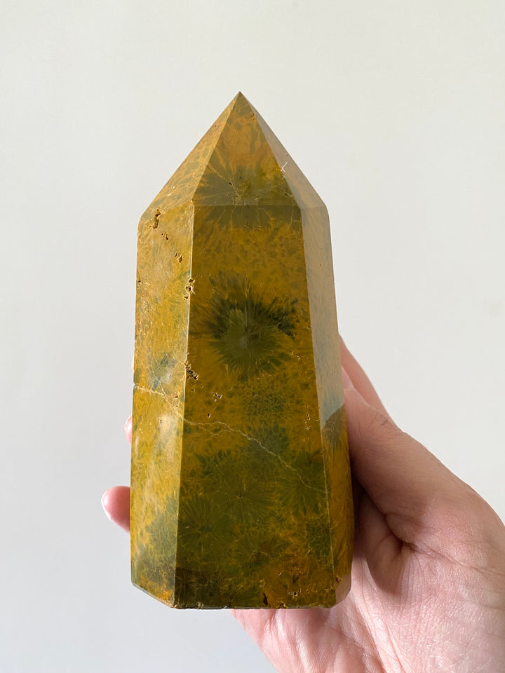 Ocean Jasper Tower