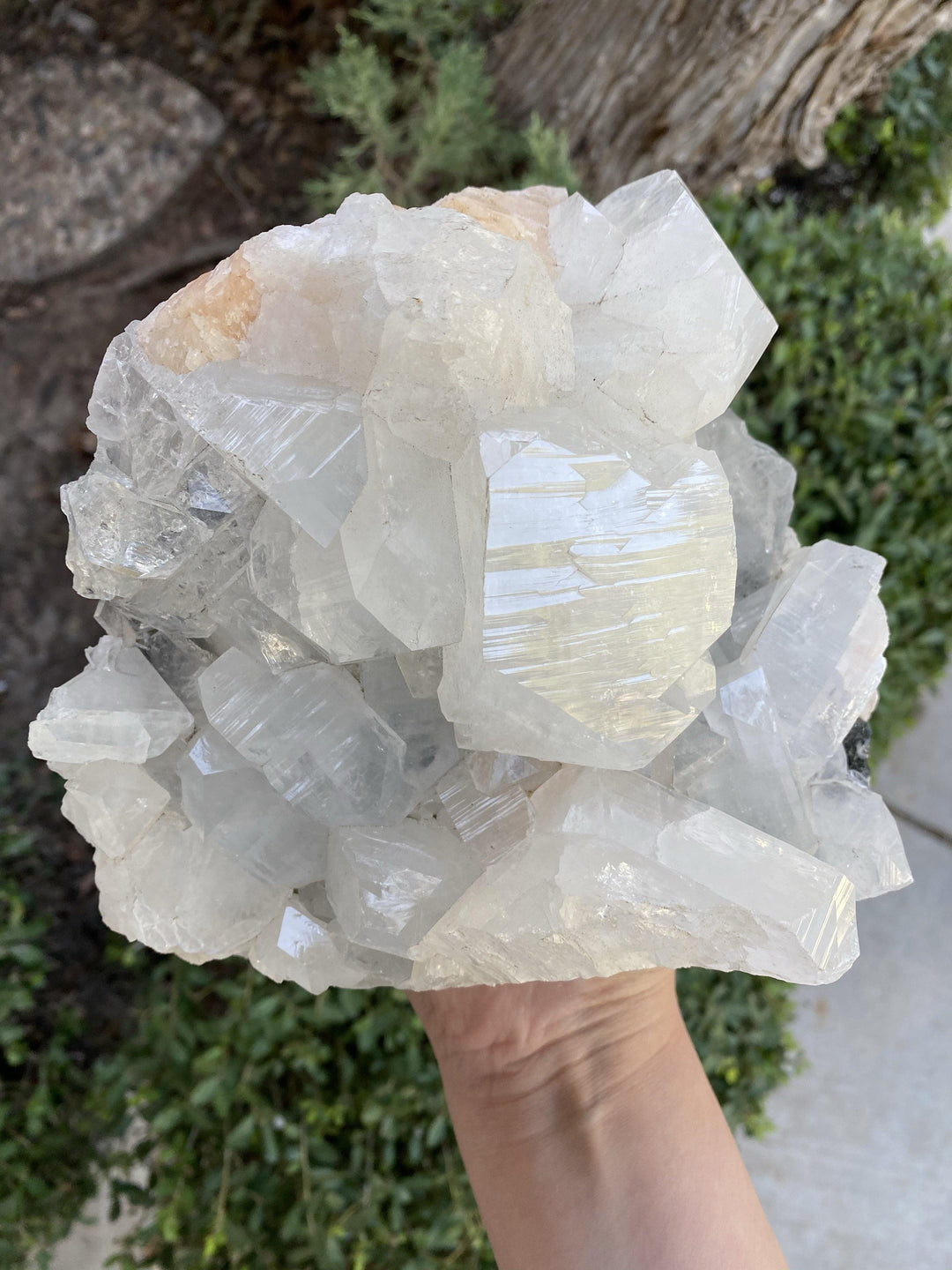Apophyllite, Stilbite  Cluster - Uncommon Rocks