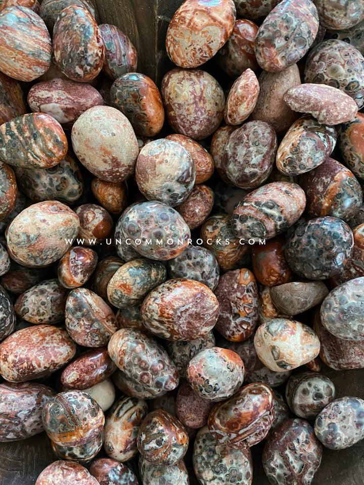 Leopard Skin Jasper Tumbled