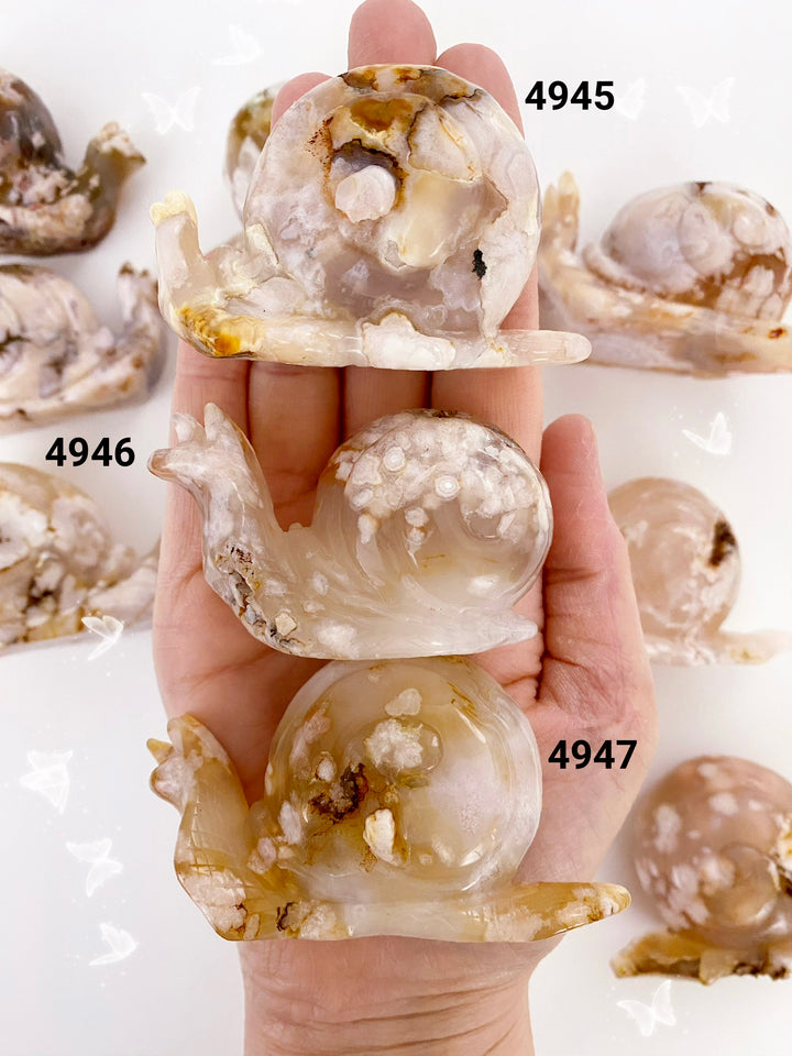 Flower Agate Snails