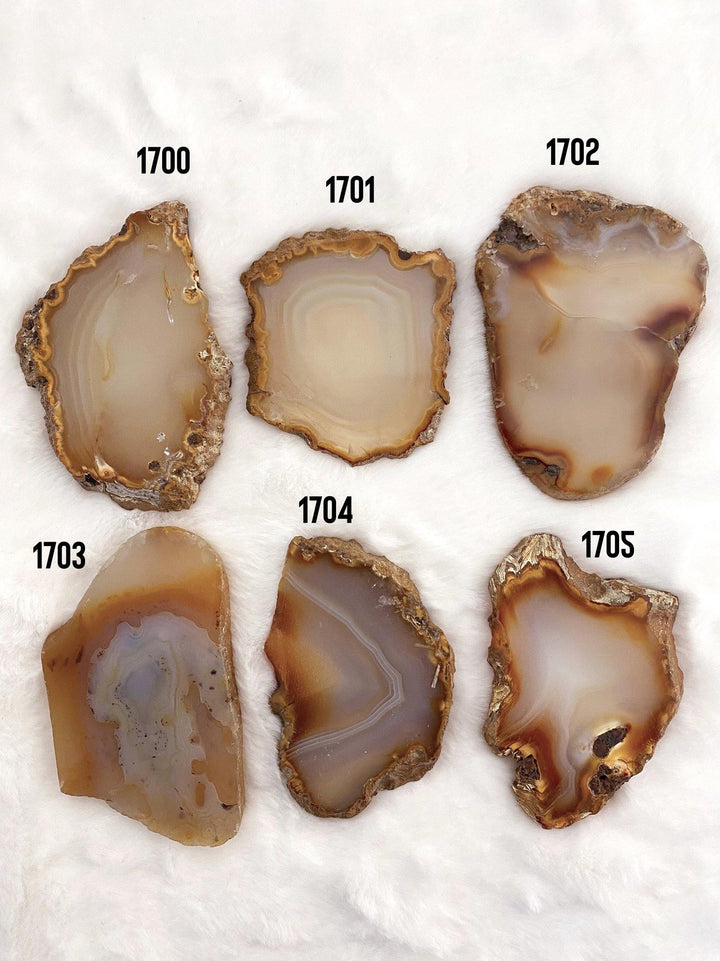Agate Slab - Uncommon Rocks