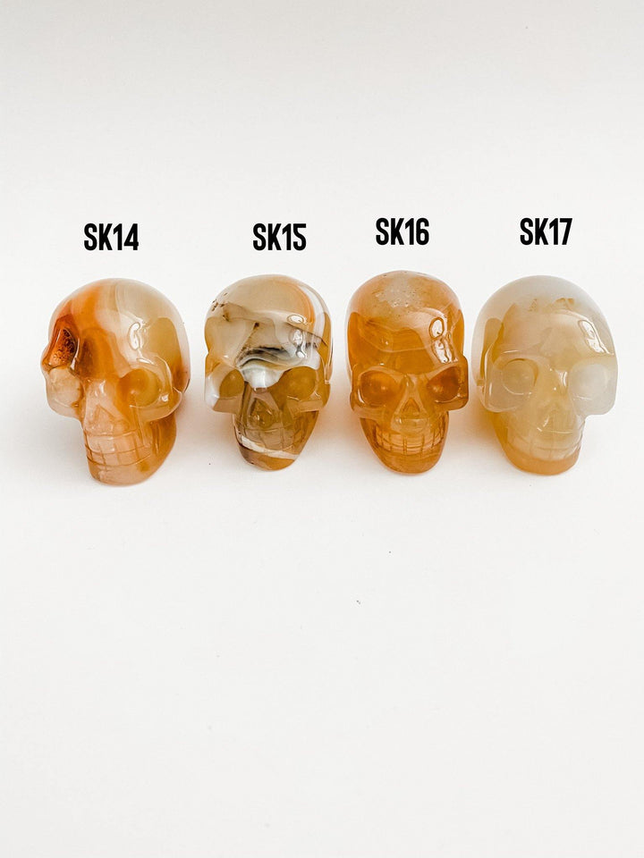 Agate Skulls - Uncommon Rocks