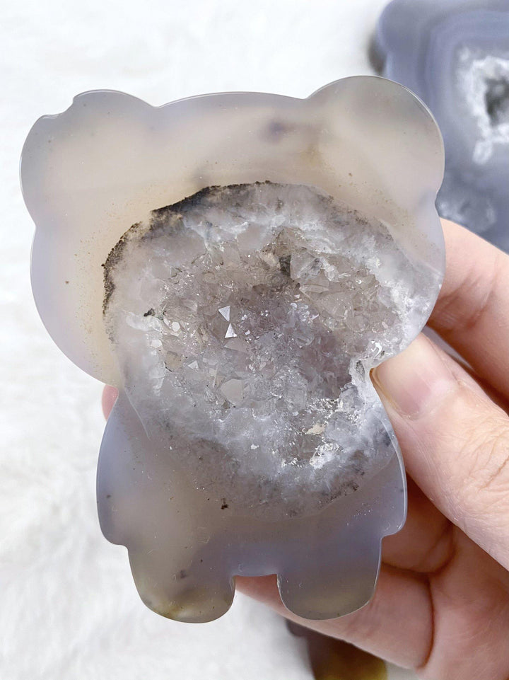 Agate Druzy Bears - Uncommon Rocks