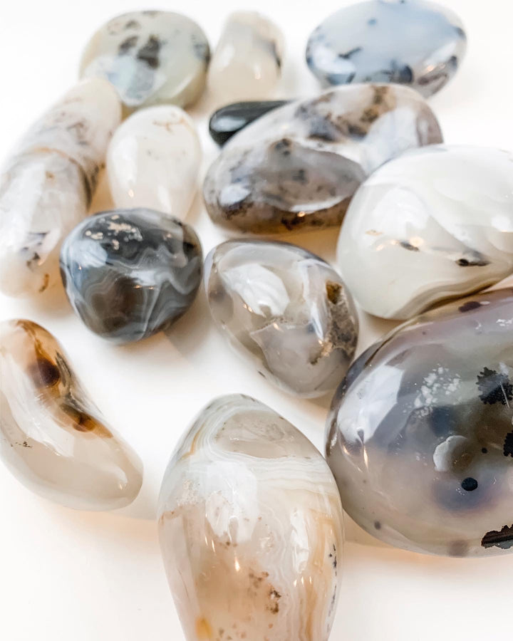 Dendritic Agate Palm Stones