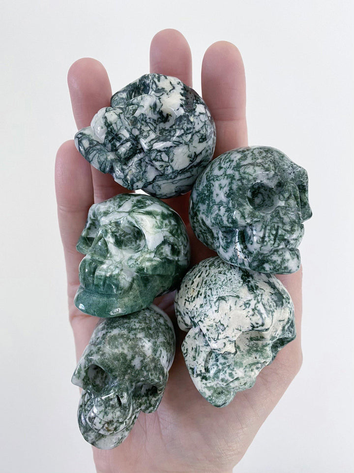 Tree Agate Carved Skulls - Uncommon Rocks