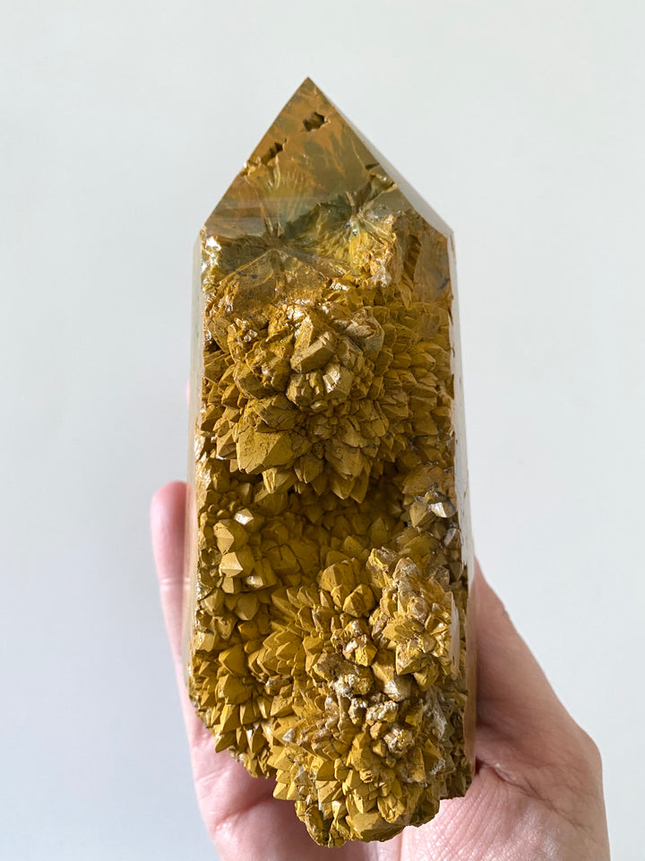 Ocean Jasper Tower
