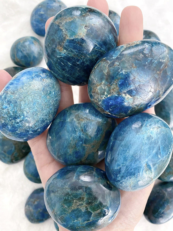 Apatite Palm Stones - Uncommon Rocks
