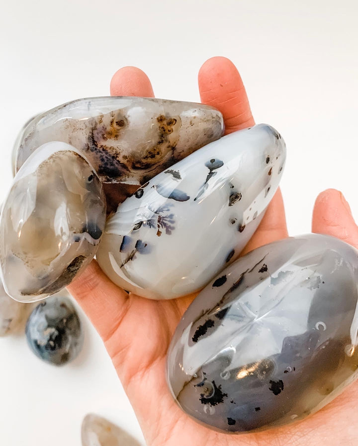 Dendritic Agate Palm Stones