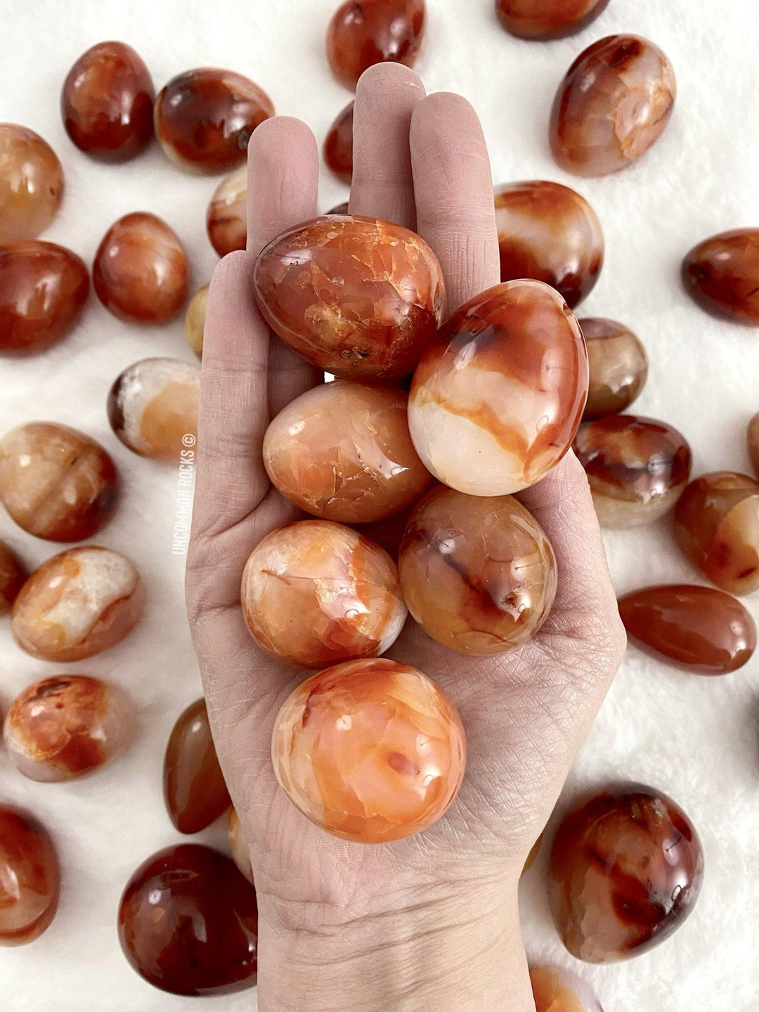 Carnelian Eggs - Uncommon Rocks