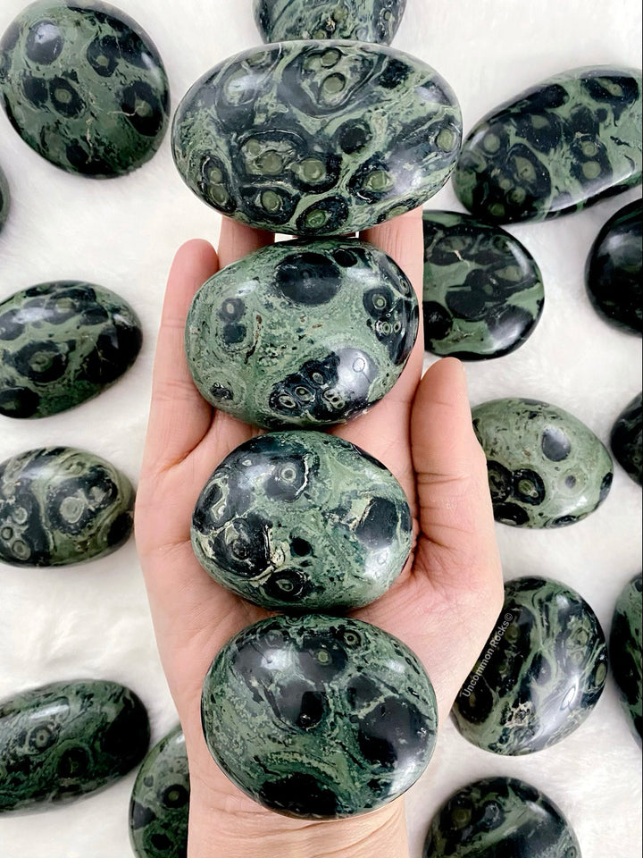 Kambaba Palm Stones