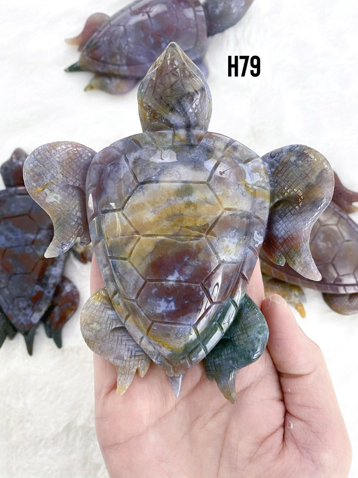 Ocean Jasper Tortoise - Uncommon Rocks