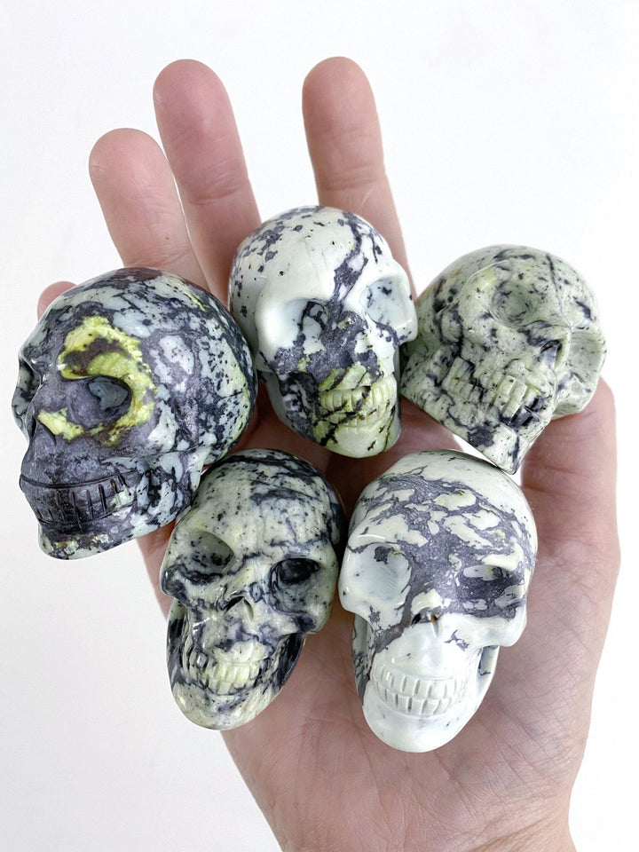 unknown name Skulls - Uncommon Rocks