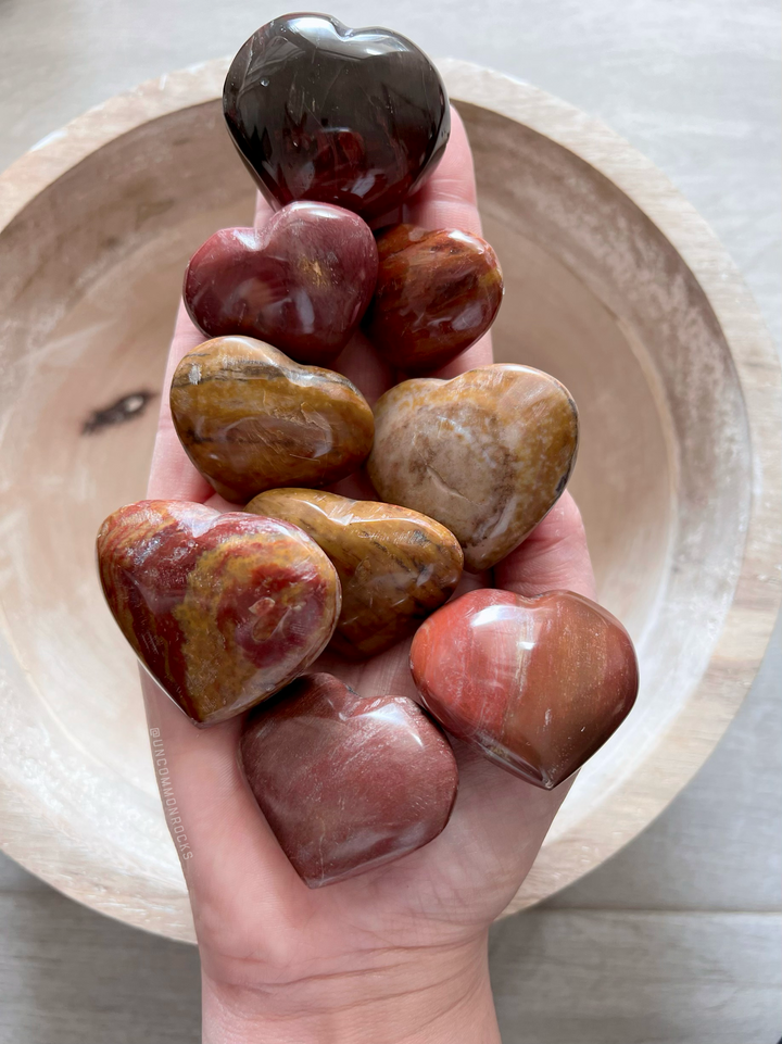Petrified Wood Hearts