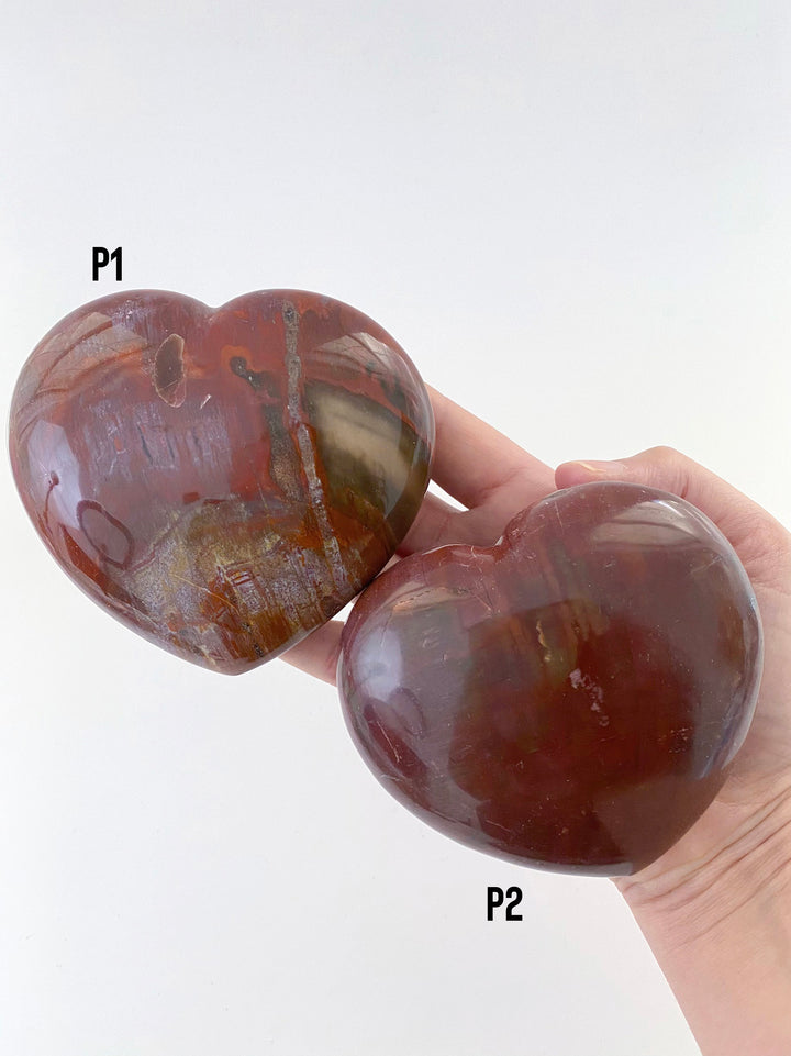 Petrified Wood Heart