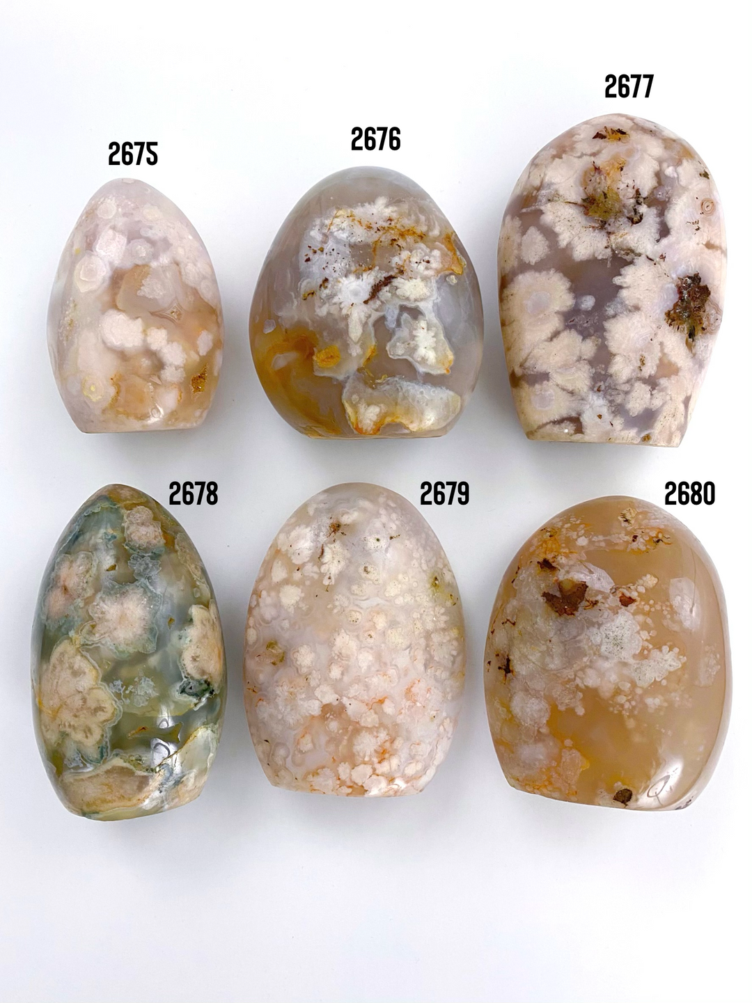 Flower Agate Free Form - Uncommon Rocks